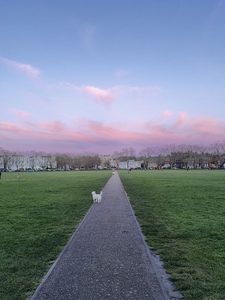 Lovely Sky over Richmond Green